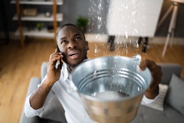 Best Water damage contractors near me  in Holley, FL