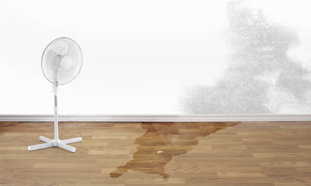 Water damage restoration insurance claims in Holley, FL