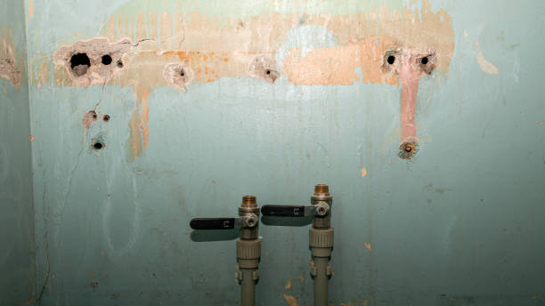 Best Carpet water damage restoration  in Holley, FL