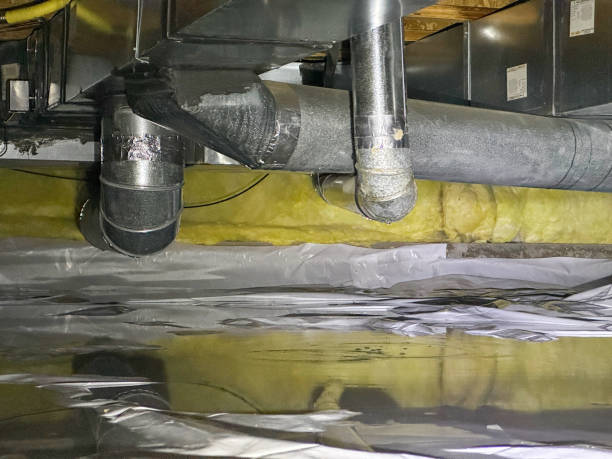 Best Flood restoration services  in Holley, FL