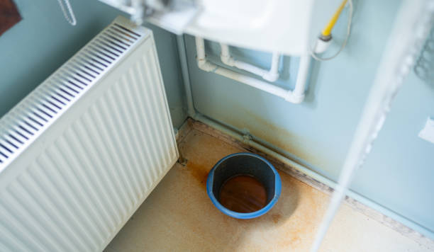 Best Sewage cleanup and water damage restoration  in Holley, FL