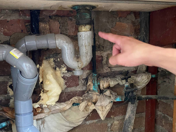 Water damage restoration mold remediation in Holley, FL